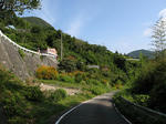 0709090850.jpg