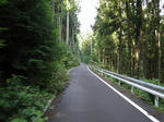 0709090914.jpg