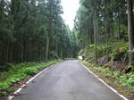 0709091025.jpg