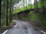 0709091047.jpg