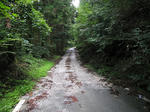 0709091059.jpg