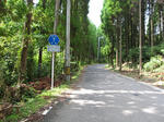 0707311052.jpg