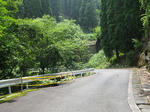 0707311126.jpg