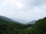 0707311204.jpg