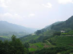 0707311219.jpg