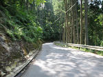 0707311425.jpg
