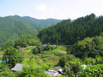 0707311503.jpg