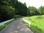 0707311531.jpg