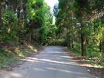 0707311701.jpg
