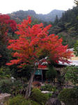 0711111117.jpg