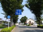 0708011014.jpg