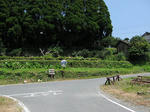 0708011103.jpg