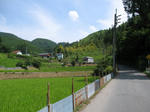 0708011359.jpg
