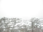 0801011012.jpg