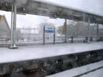 0801011022.jpg