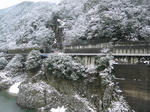 0801011036.jpg