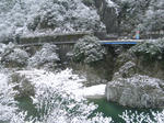 0801011037.jpg