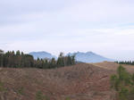 0711261050.jpg