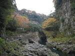 0711261230.jpg