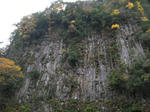 0711261233.jpg