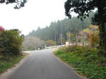 0711271229.jpg