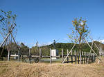 0711121009.jpg