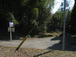 0802101301.jpg