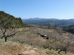 0802101304.jpg