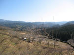 0802101307.jpg