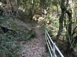 0802101411.jpg