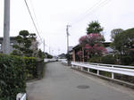 0802120943.jpg