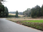 0802121003.jpg