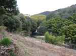 0802121506.jpg