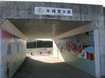 0802131553.jpg