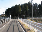 0802131557.jpg