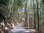 0803161107.jpg