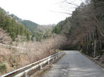 0803161248.jpg