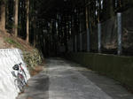 0803161415.jpg