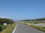 0804140917.jpg