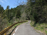 0804141109.jpg