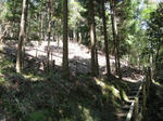 0804141141.jpg
