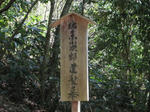 0804141145.jpg