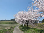 0804141200.jpg