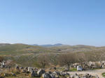 0804141555.jpg