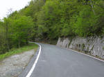 0805111231.jpg