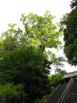 0805120732.jpg