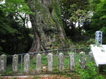 0805120736.jpg