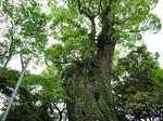 0805120737.jpg