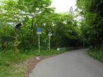 0805121030.jpg