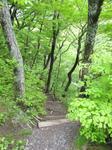 0805121129.jpg